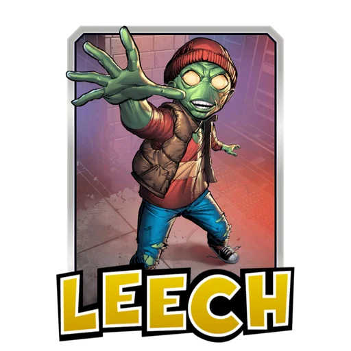 Leech