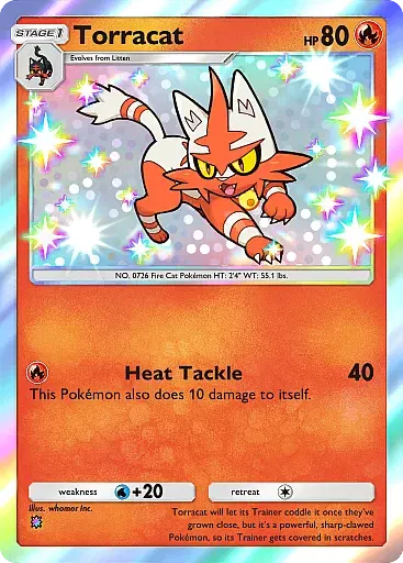 Torracat - MegaRising - Pokémon Pocket Card
